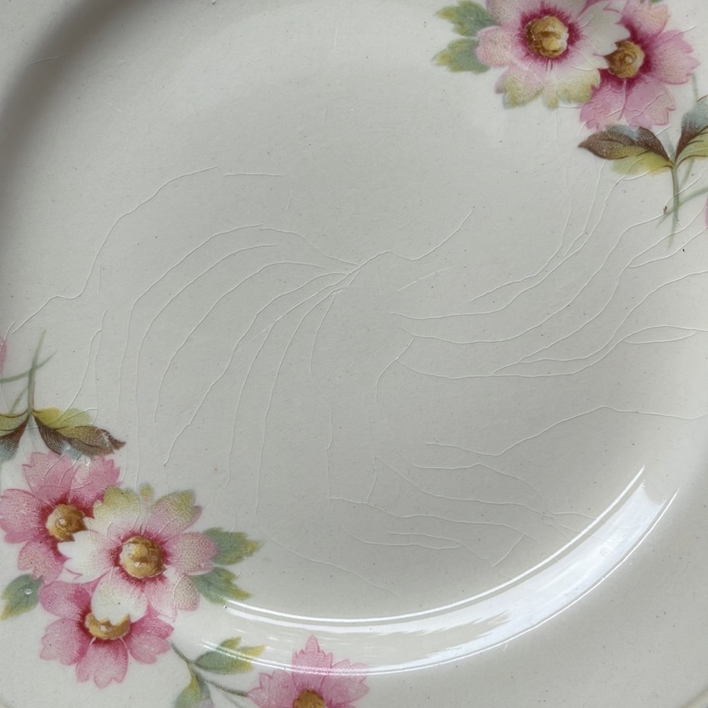 🌸Set of 6 Vintage Style Dessert Plates! Pretty delicate rose pattern 🌸 - Picture 12 of 16